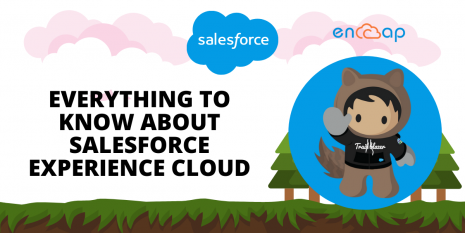 Everything to Know About Salesforce Experience Cloud | Encaptechno