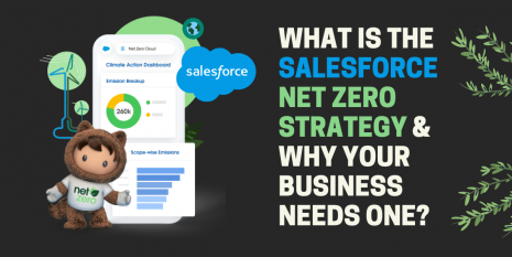 What is the Salesforce Net Zero Strategy & Why Your Business Needs One? | Encaptechno